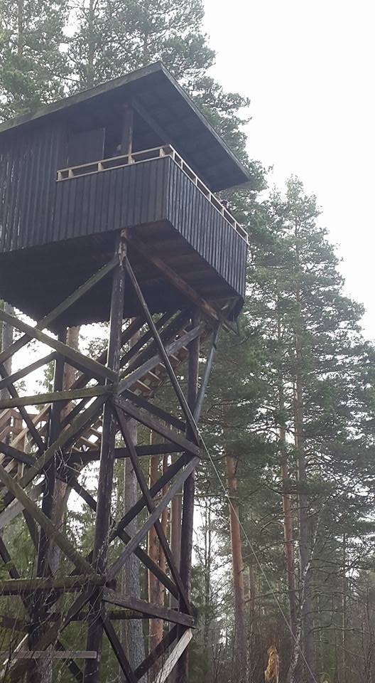 Fågeltornet sett nedifrån