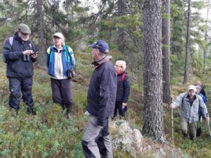Personer står i skogen