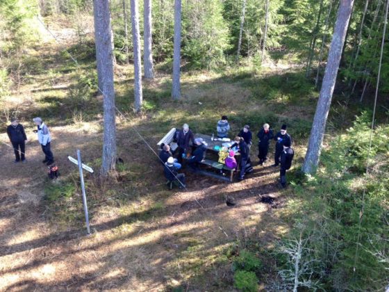 Bild tagen från fågeltornet, på bilden syns personer som fikar på marken